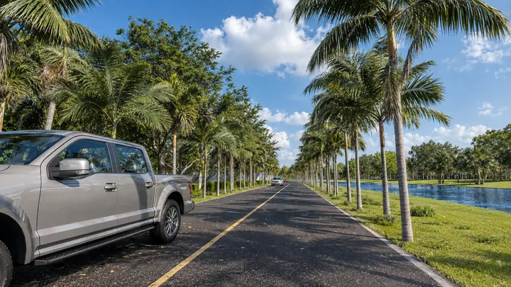Palm-lined approach road alongside a landscaped waterway